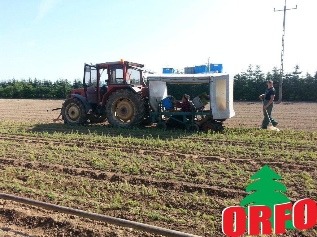 42976b1bd0a7fa0db074b8c9540959db